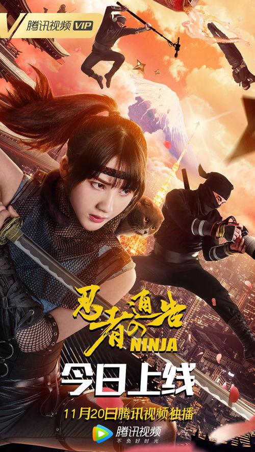 忍者通告在线视频,揭秘神秘忍者世界的在线视频揭秘